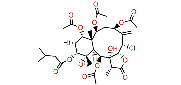 Gemmacolide T